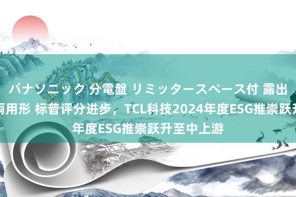 パナソニック 分電盤 リミッタースペース付 露出・半埋込両用形 标普评分进步，TCL科技2024年度ESG推崇跃升至中上游