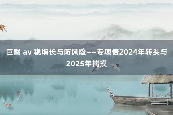 巨臀 av 稳增长与防风险——专项债2024年转头与2025年揣摸