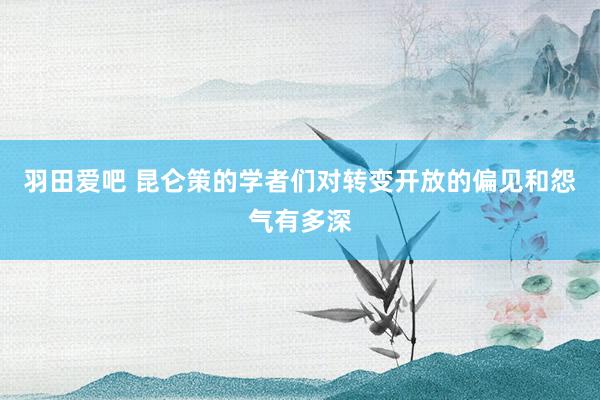 羽田爱吧 昆仑策的学者们对转变开放的偏见和怨气有多深