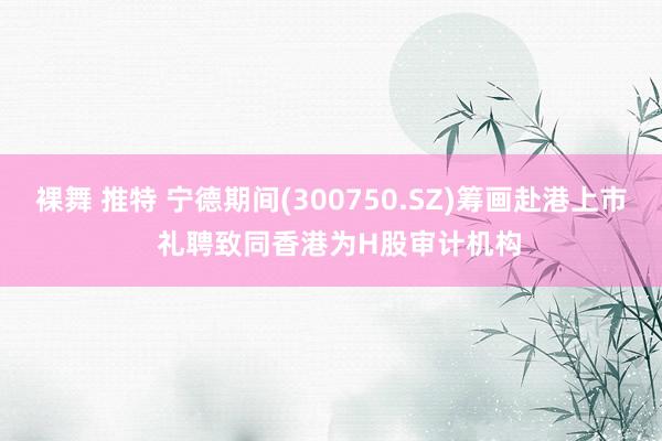 裸舞 推特 宁德期间(300750.SZ)筹画赴港上市  礼聘致同香港为H股审计机构