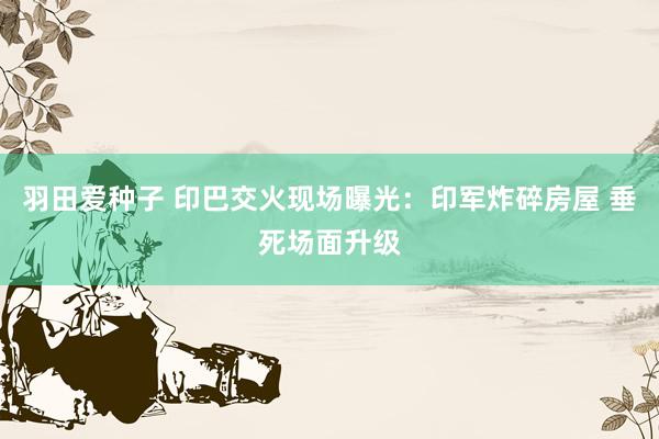 羽田爱种子 印巴交火现场曝光：印军炸碎房屋 垂死场面升级